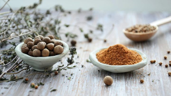 Darwinistische Gastronomie: Warum wir Gewürze verwenden