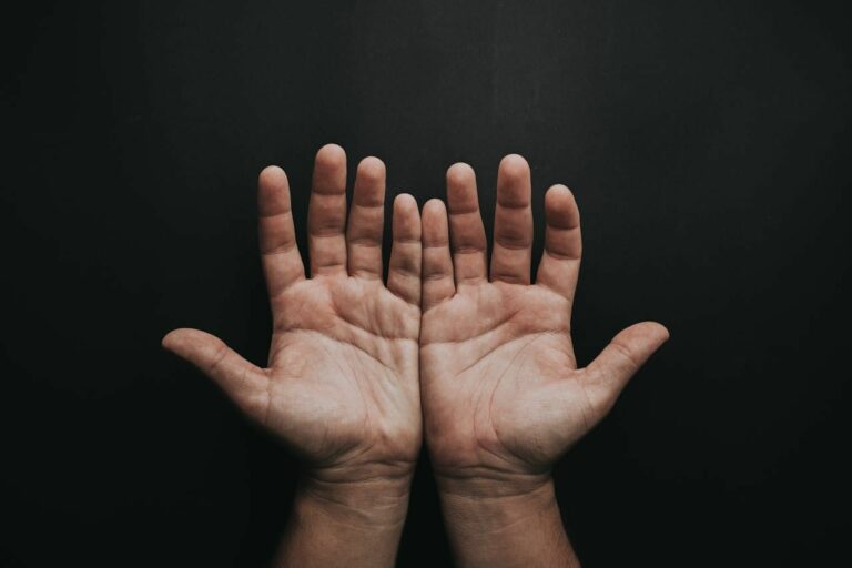 Die Bedeutung der Hand in der Evolution