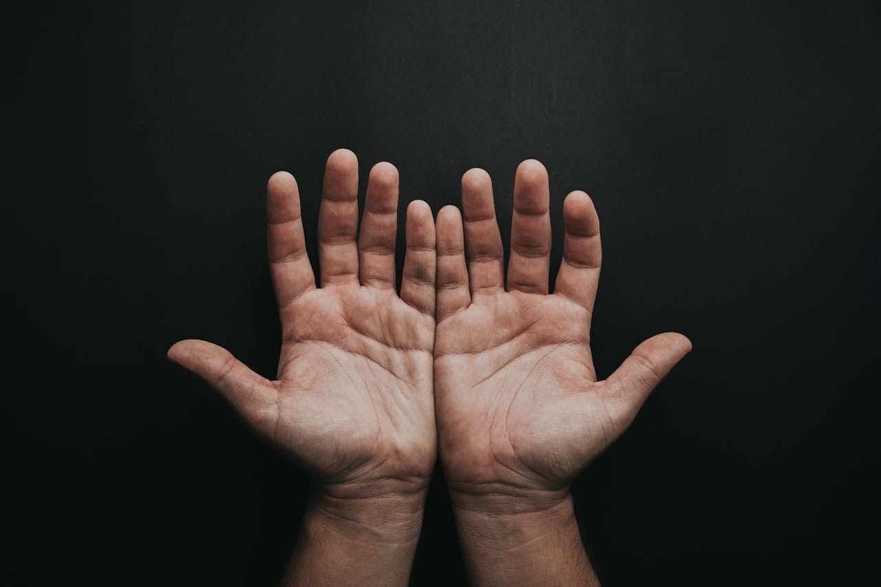 Die Bedeutung der Hand in der Evolution